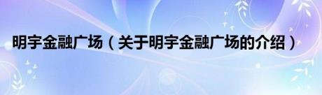 明宇金融广场（关于明宇金融广场的介绍）