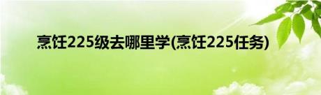 烹饪225级去哪里学(烹饪225任务)