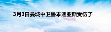 3月3日曼城中卫鲁本迪亚斯受伤了