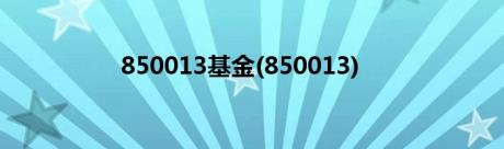 850013基金(850013)