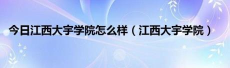 今日江西大宇学院怎么样（江西大宇学院）