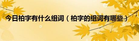 今日柏字有什么组词（柏字的组词有哪些）