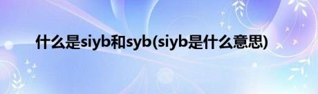 什么是siyb和syb(siyb是什么意思)