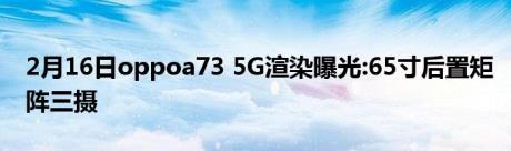 2月16日oppoa73 5G渲染曝光:65寸后置矩阵三摄