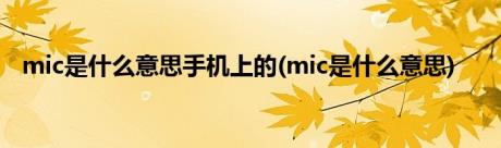 mic是什么意思手机上的(mic是什么意思)