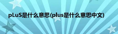 pLuS是什么意思(plus是什么意思中文)