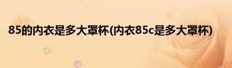 85的内衣是多大罩杯(内衣85c是多大罩杯)