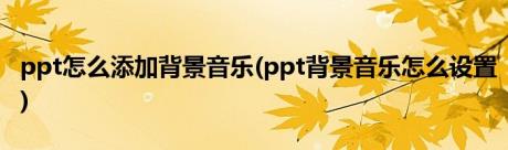 ppt怎么添加背景音乐(ppt背景音乐怎么设置)