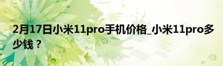 2月17日小米11pro手机价格_小米11pro多少钱？