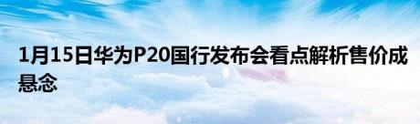 1月15日华为P20国行发布会看点解析售价成悬念