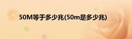 50M等于多少兆(50m是多少兆)