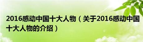 2016感动中国十大人物（关于2016感动中国十大人物的介绍）