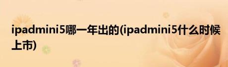 ipadmini5哪一年出的(ipadmini5什么时候上市)