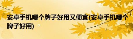 安卓手机哪个牌子好用又便宜(安卓手机哪个牌子好用)