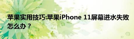 苹果实用技巧:苹果iPhone 11屏幕进水失败怎么办？