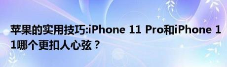 苹果的实用技巧:iPhone 11 Pro和iPhone 11哪个更扣人心弦？