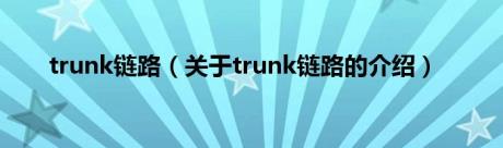 trunk链路（关于trunk链路的介绍）