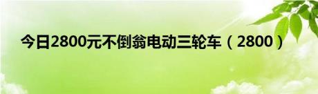 今日2800元不倒翁电动三轮车（2800）