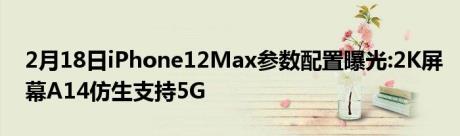 2月18日iPhone12Max参数配置曝光:2K屏幕A14仿生支持5G