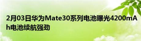 2月03日华为Mate30系列电池曝光4200mAh电池续航强劲