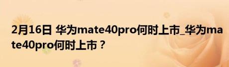 2月16日 华为mate40pro何时上市_华为mate40pro何时上市？