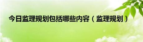 今日监理规划包括哪些内容（监理规划）