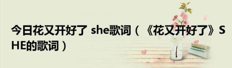 今日花又开好了 she歌词（《花又开好了》SHE的歌词）