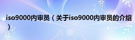 iso9000内审员（关于iso9000内审员的介绍）