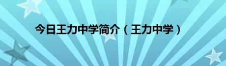 今日王力中学简介（王力中学）