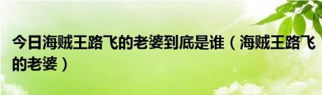 今日海贼王路飞的老婆到底是谁（海贼王路飞的老婆）