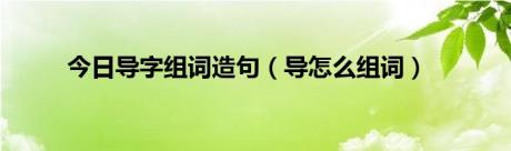 今日导字组词造句（导怎么组词）