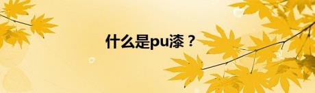 什么是pu漆？