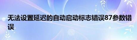 无法设置延迟的自动启动标志错误87参数错误