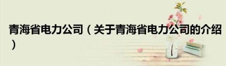 青海省电力公司（关于青海省电力公司的介绍）