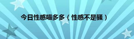 今日性感喵多多（性感不是骚）