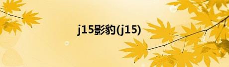 j15影豹(j15)