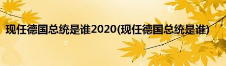 现任德国总统是谁2020(现任德国总统是谁)