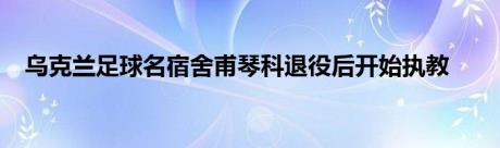 乌克兰足球名宿舍甫琴科退役后开始执教