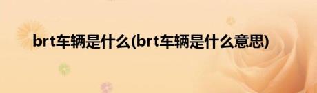 brt车辆是什么(brt车辆是什么意思)