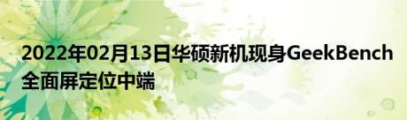 2022年02月13日华硕新机现身GeekBench全面屏定位中端