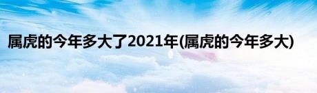 属虎的今年多大了2021年(属虎的今年多大)