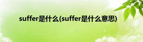 suffer是什么(suffer是什么意思)