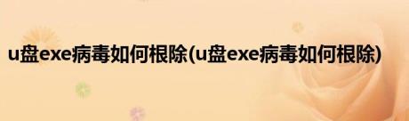 u盘exe病毒如何根除(u盘exe病毒如何根除)