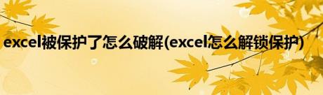 excel被保护了怎么破解(excel怎么解锁保护)