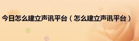 今日怎么建立声讯平台（怎么建立声讯平台）