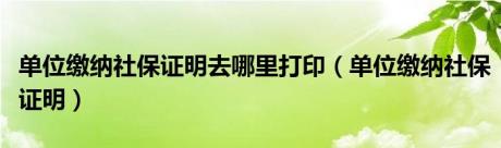 单位缴纳社保证明去哪里打印（单位缴纳社保证明）