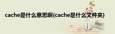 cache是什么意思啊(cache是什么文件夹)
