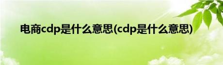 电商cdp是什么意思(cdp是什么意思)