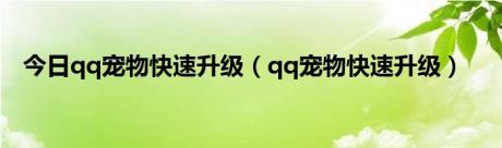 今日qq宠物快速升级（qq宠物快速升级）