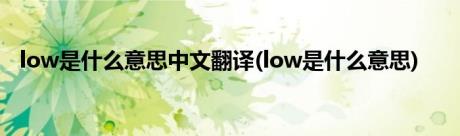 low是什么意思中文翻译(low是什么意思)